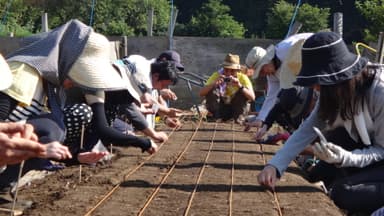 農業実践教室の様子4