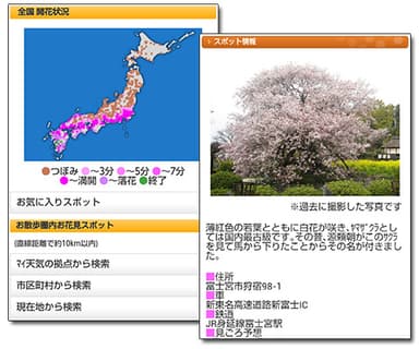 お花見情報ページ