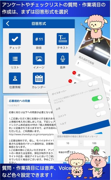 回答画面