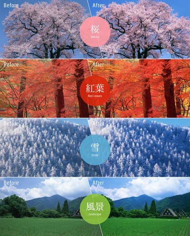 写真補正イメージ