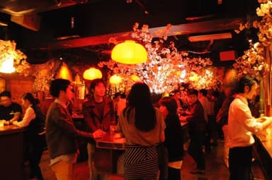 桜で覆われた店内