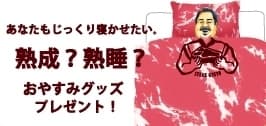 熟成肉柄掛け布団＆枕