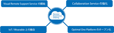 「Remote Experience Sharing」4つの分野