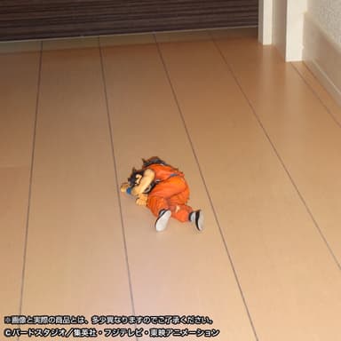 HG ヤムチャ(4)