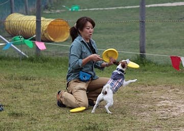 ディスクドッグ練習会開催時の様子