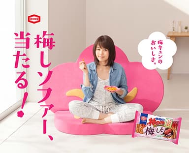 キャンペーンデータ １