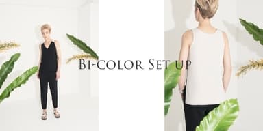 BI-COLOR SET UP