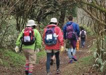 植物園スタッフと歩く山上散歩（イメージ）