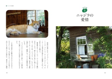 しあわせになった猫しあわせをくれた猫表紙詳細1