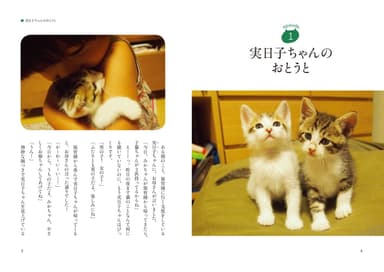 しあわせになった猫しあわせをくれた猫表紙詳細2