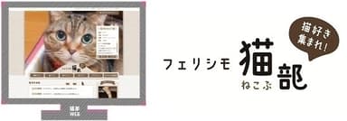 フェリシモ猫部