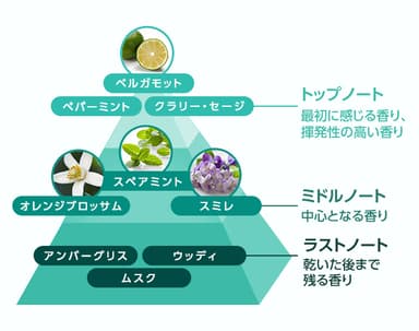 ミントカクテルの香り