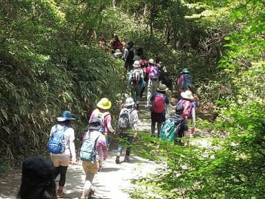 六甲山ハイキング（イメージ）
