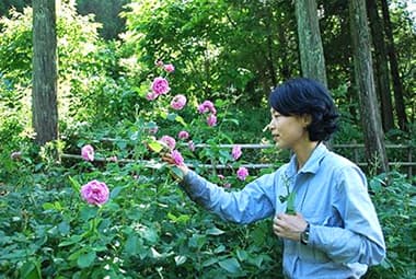 ローズウオーク・フラワーガイド