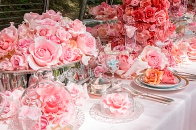 西山美なコ 《～melting dream～》