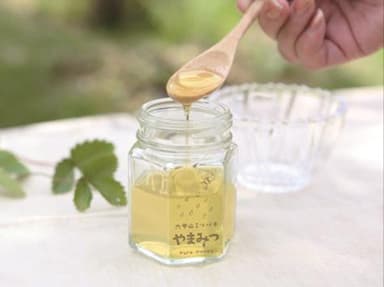 六甲山ミツバチ やまみつ（百花蜜）