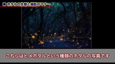 DVD内容1