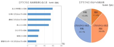 グラフ5・6