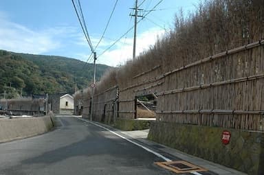 大沢イメージ画像　その２