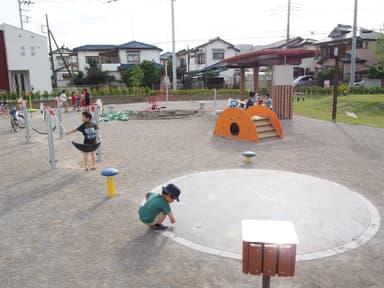 公園の全景