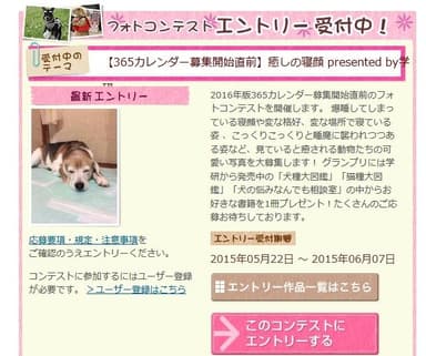 フォトコンテスト