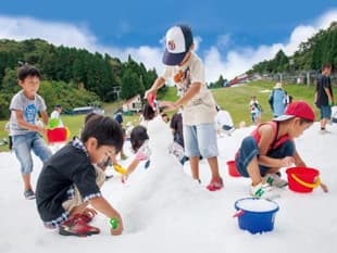 真夏の雪まつりイメージ