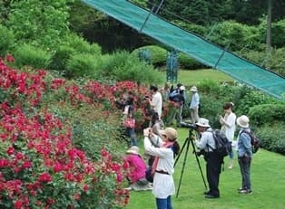 ローズウオーク写真教室