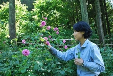 ローズウオーク・フラワーガイド