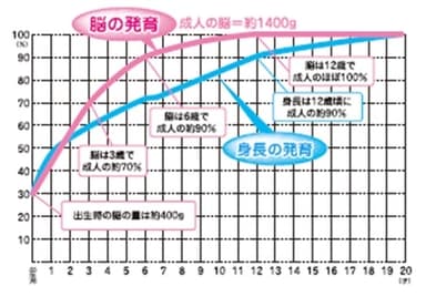 脳の発育曲線