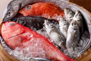 地魚
