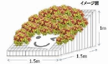 イメージ画像(4)