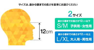 サイズ