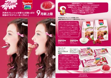 ラズベリーヨーグルトイメージ