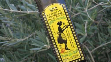 手摘みオリーブオイルの出荷は今がピーク
