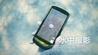 水中撮影