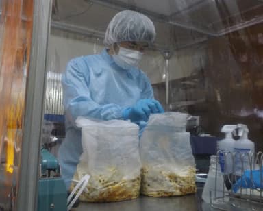 製造過程