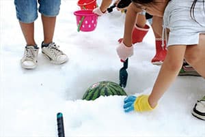 「スペシャル宝さがしゲーム」イメージ