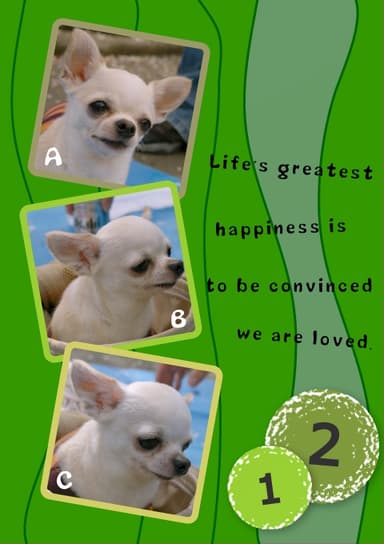 FOTZimage1