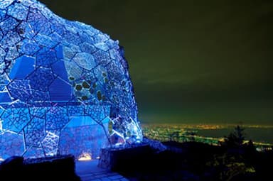 六甲枝垂れ　夜間の様子