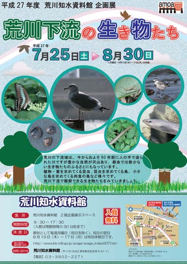 チラシ表
