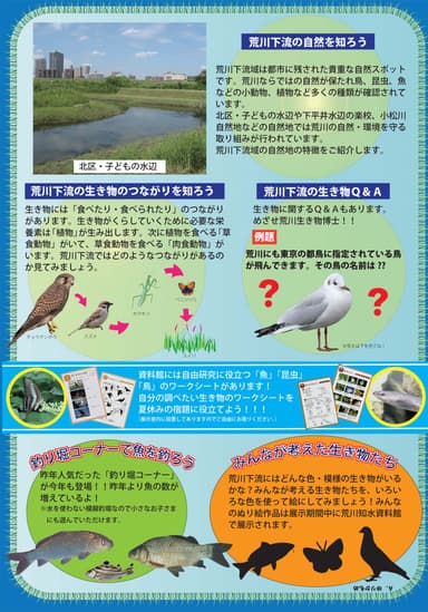 チラシ裏