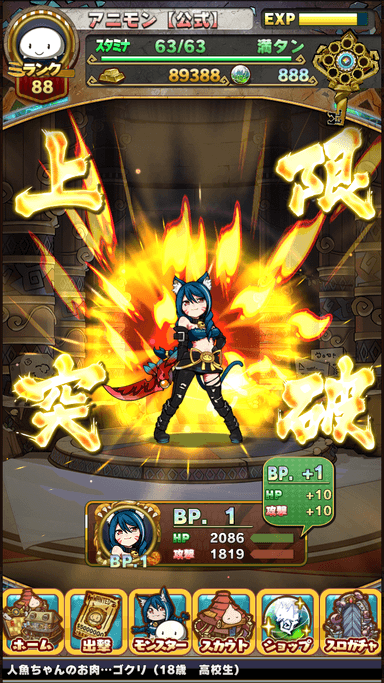 上限ブースト機能