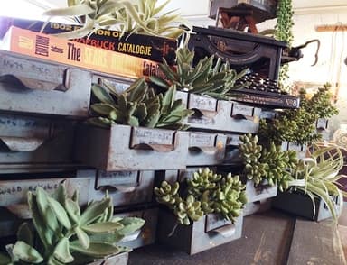 いなざうるす屋