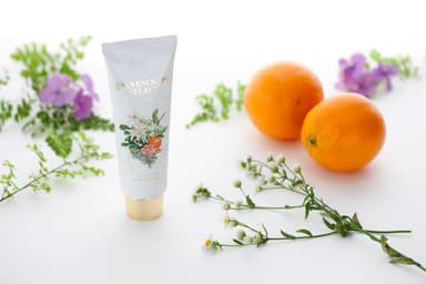 「Venus Select by StayRich」1