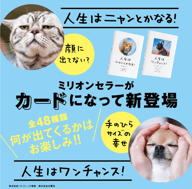 カードイメージ2