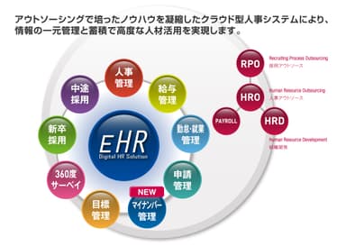 EHR全体図