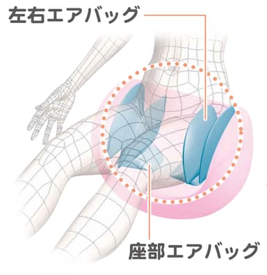 立体骨盤締つけ構造