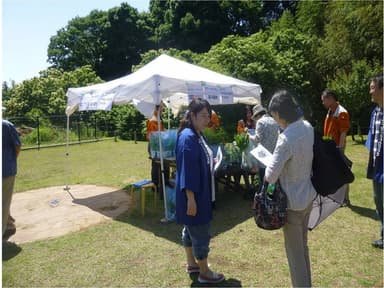 京セラコネクタプロダクツ（横浜市）のゴーヤの苗、配布の模様