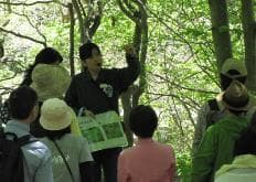 シルバーウィーク限定ガイド　開催イメージ