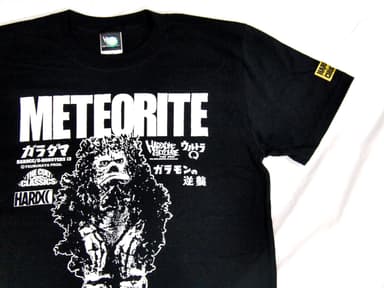 ガラモン(隕石怪獣ホワイト)3